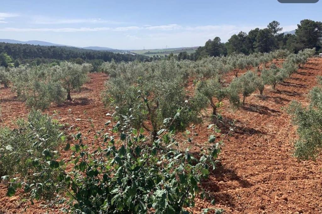 El-Cortijo Βίλα Siete Aguas Εξωτερικό φωτογραφία